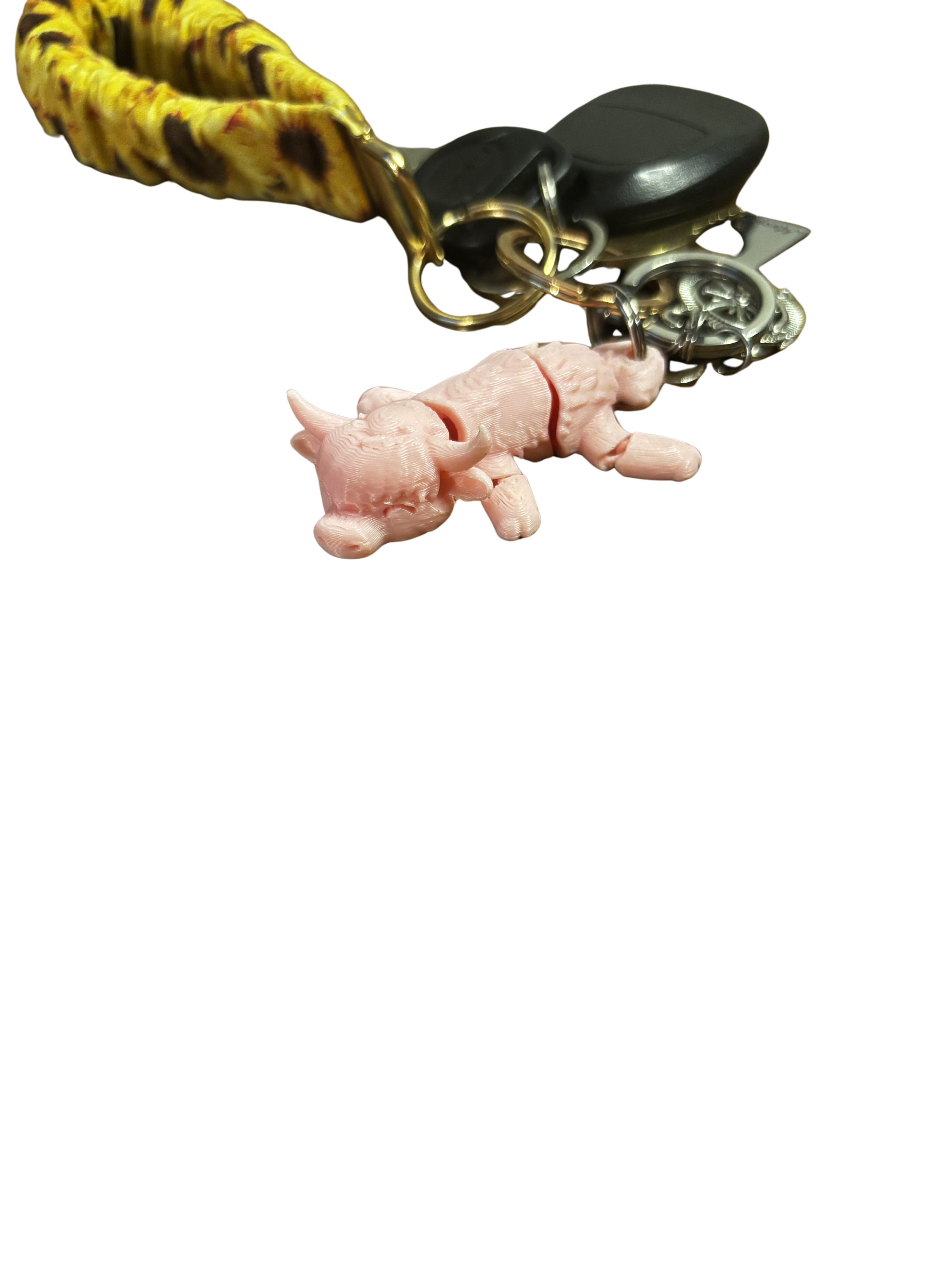 Articulated Animals & Fidgets 3D prints