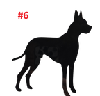 Animal Decals