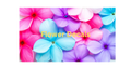 Flower Decals