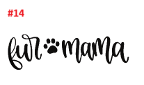 Animal Decals