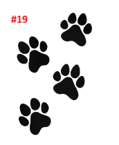 Animal Decals